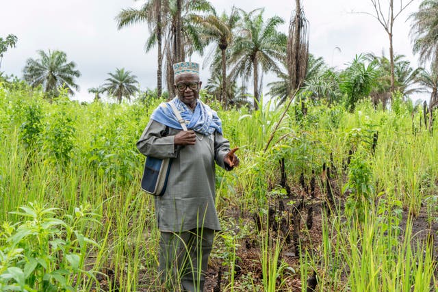 Sierra Leone Reviving Rice