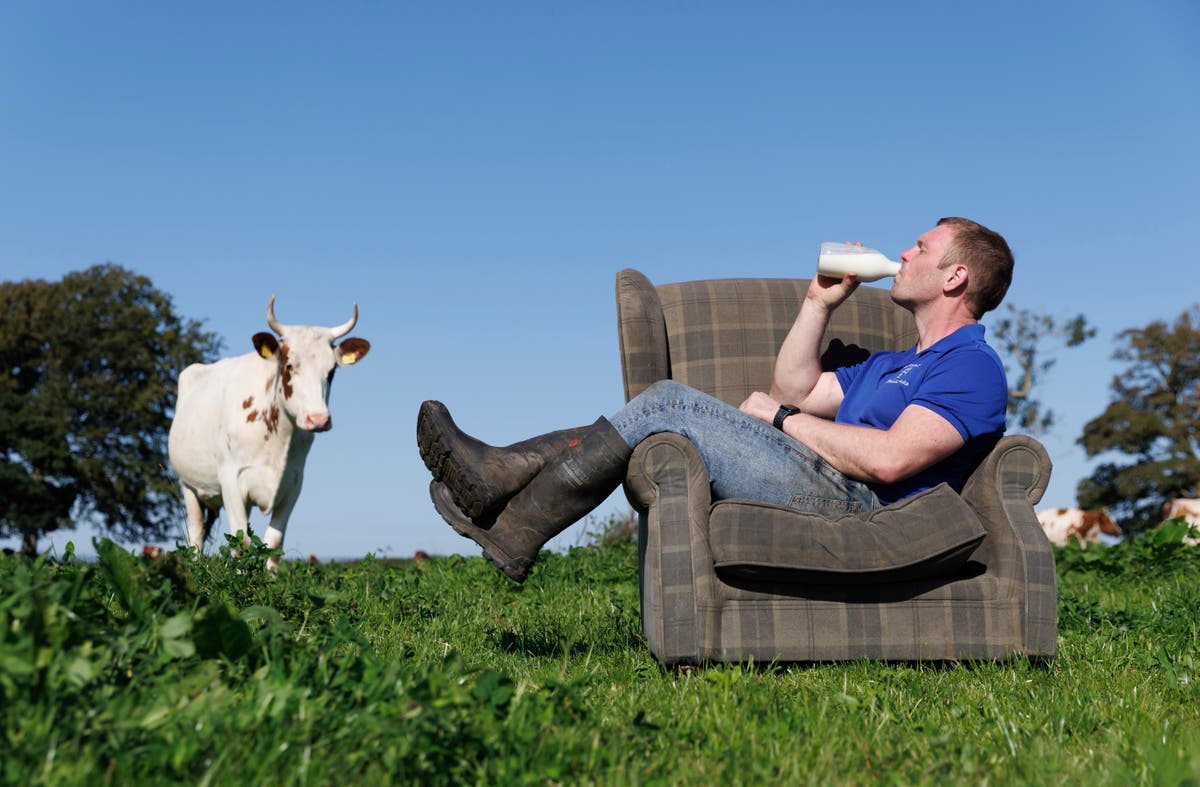 Would you pay $334 for coffee? Scottish farm shares reason for selling UK’s ‘most expensive’ cup