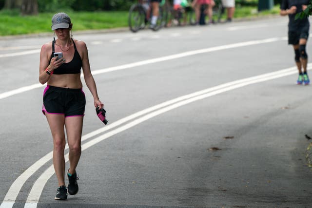 <p>A person walk along the jogging path in Central Park, New York </p>