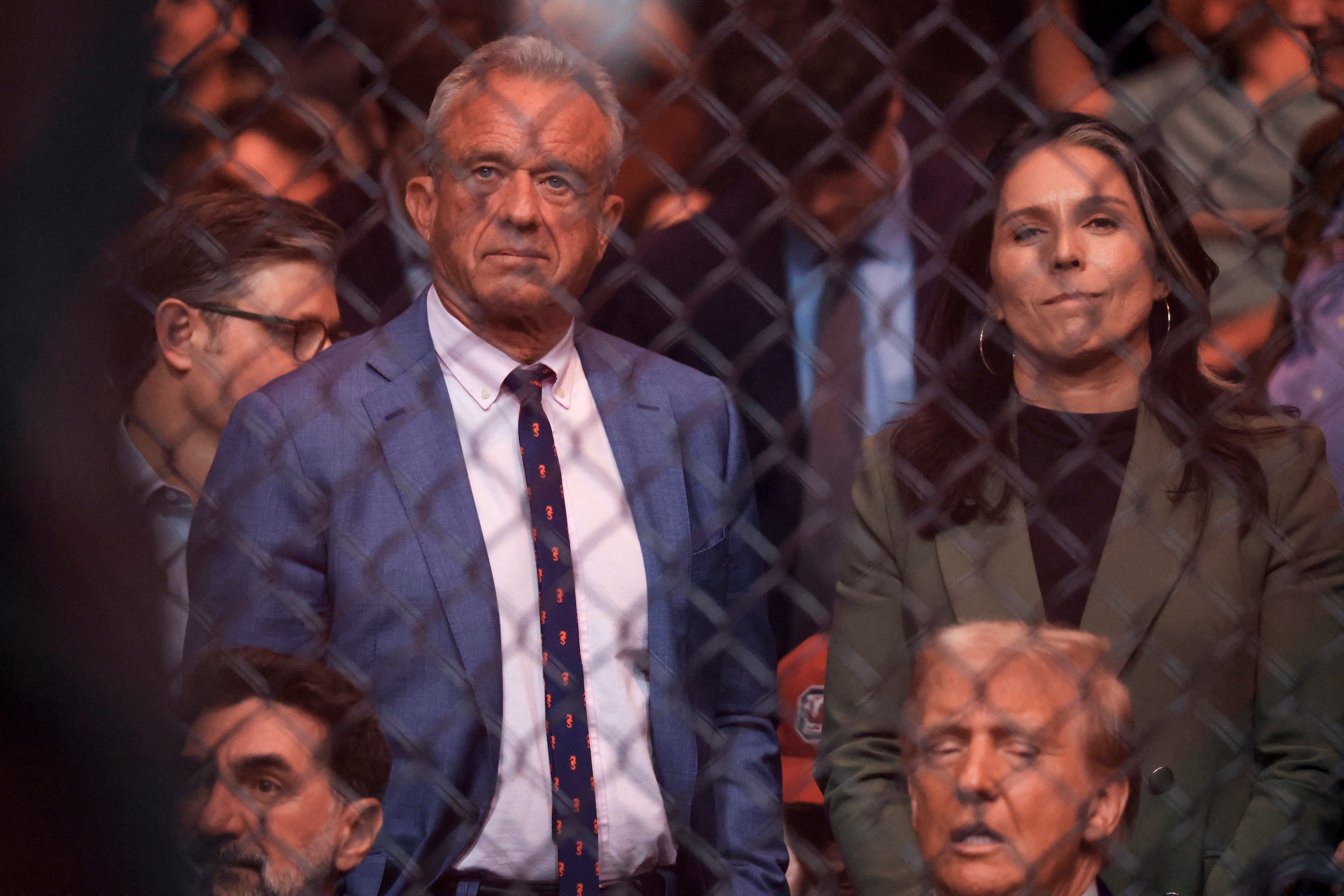 RFK Jr and Gabbard behind Trump at UFC 309 at Madison Square Garden in New York, on November 16. The duo are among several controversial cabinet picks