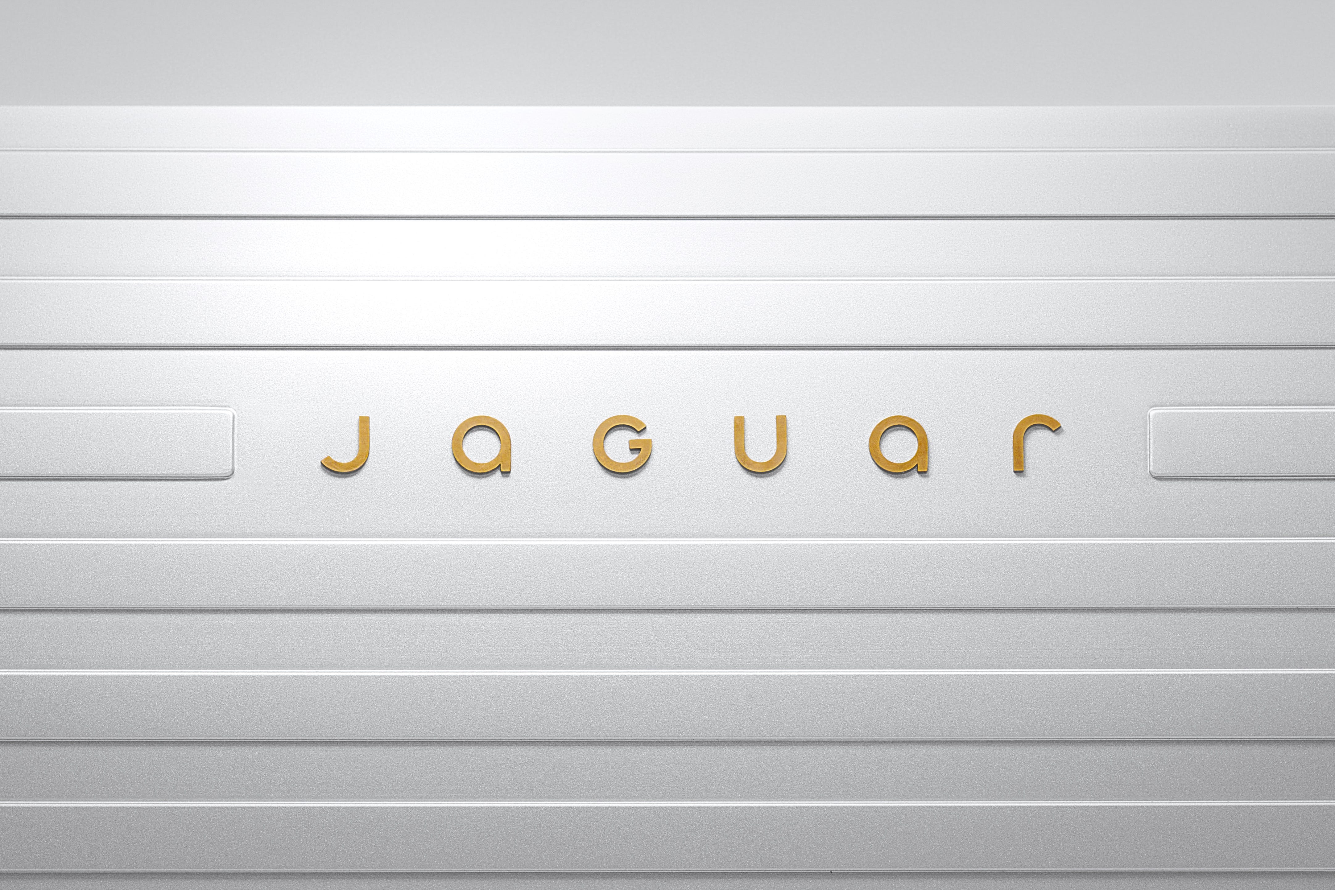 Luxury vehicle maker Jaguar’s reinvention of its brand has been described as a ‘disaster’ (Jaguar/PA)