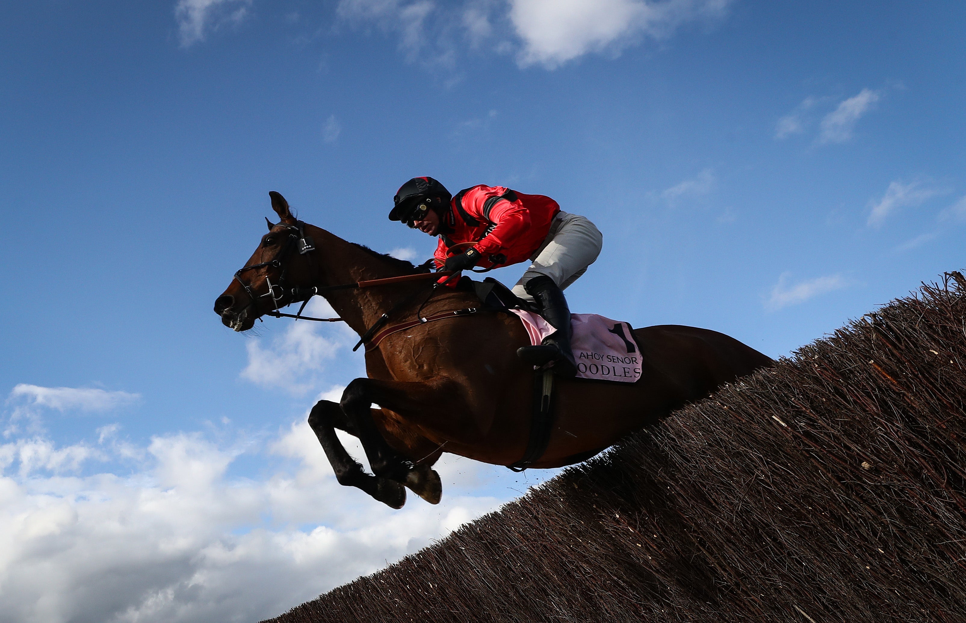 Ahoy Senor is fancied in the Betfair Chase this weekend