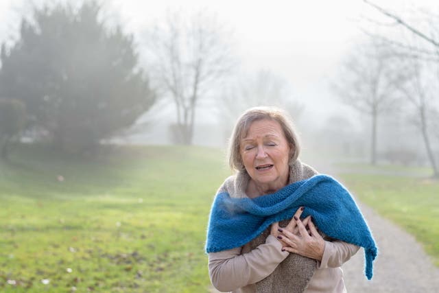 <p>A lady clutching her chest in pain at the first signs of angina or a myocardial infarct or heart attack</p>