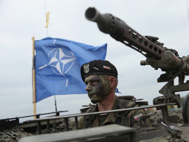 <p>A Polish Army soldier sits in a tank infront of a Nato flag during a military exercise</p>