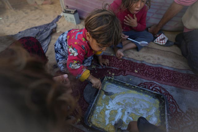 Mideast Wars Gaza Hunger