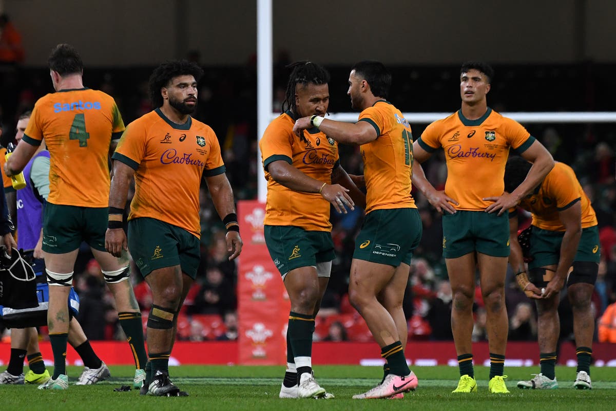 Harry Potter Set for Wallabies Debut Against Scotland