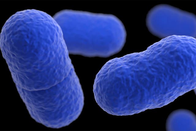 <p>The listeria outbreak has led to the recall of 72,000 pounds of meat and poultry </p>