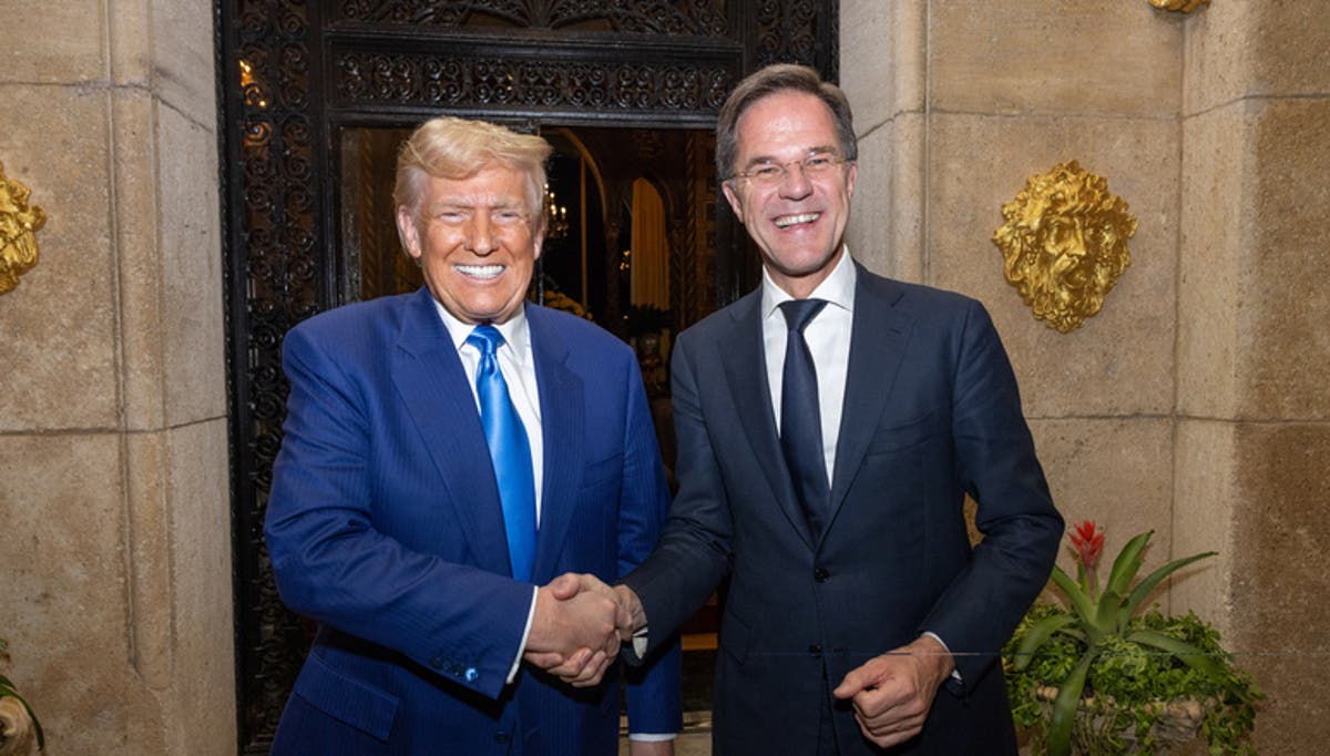 Watch: Trump meets Nato chief after Musk calls for US to exit alliance