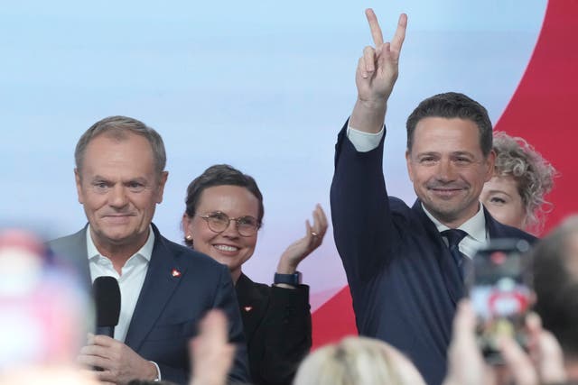 POLONIA POLITICA