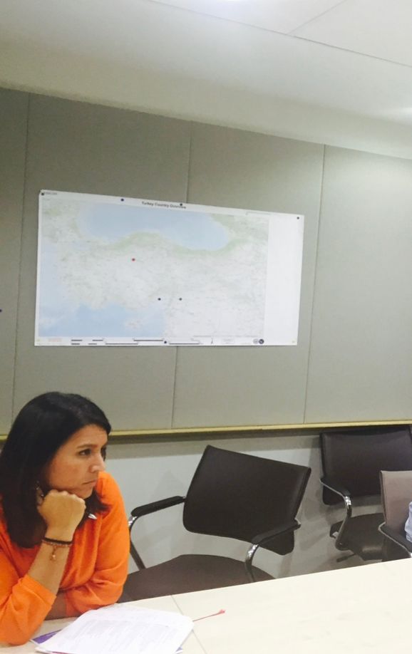 Gabbard on a congressional fact-finding mission to southern Turkey in June 2015.