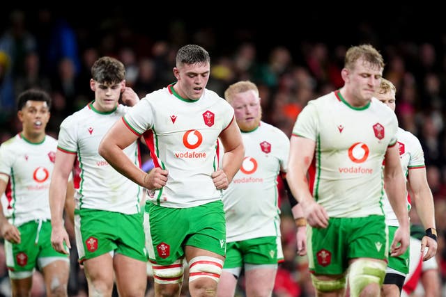 <p>Wales were beaten by South Africa to end 2024 without a win </p>