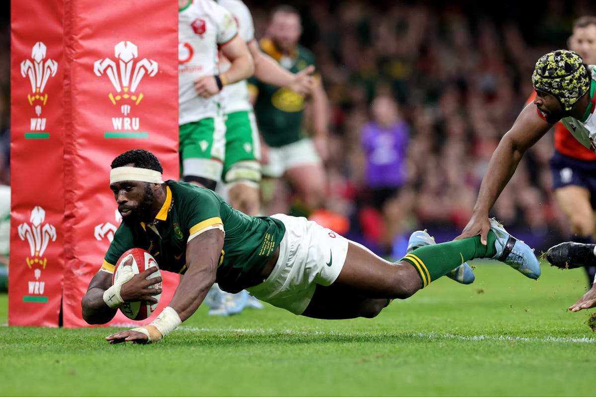 Springboks run rampant as Wales condemned to winless year - live
