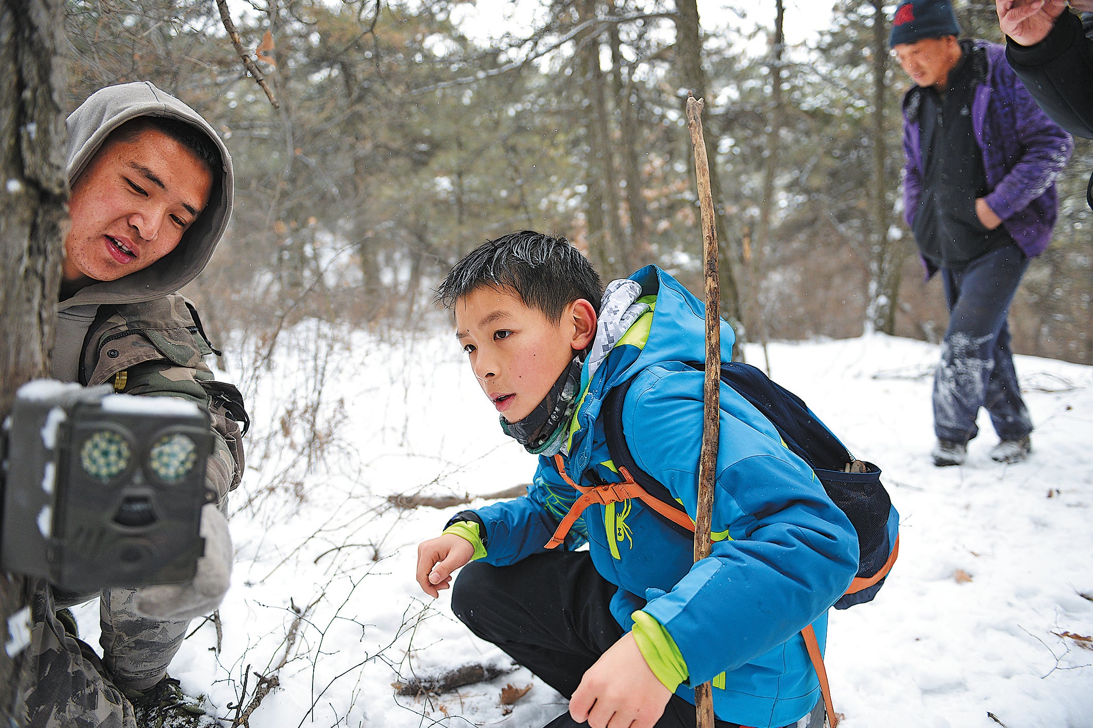 Gao Shiqing (centre) works in the wild in Beijing