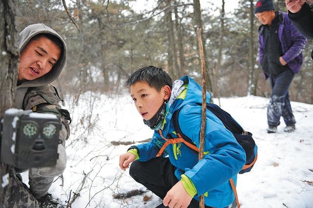 <p>Gao Shiqing (centre) works in the wild in Beijing</p>