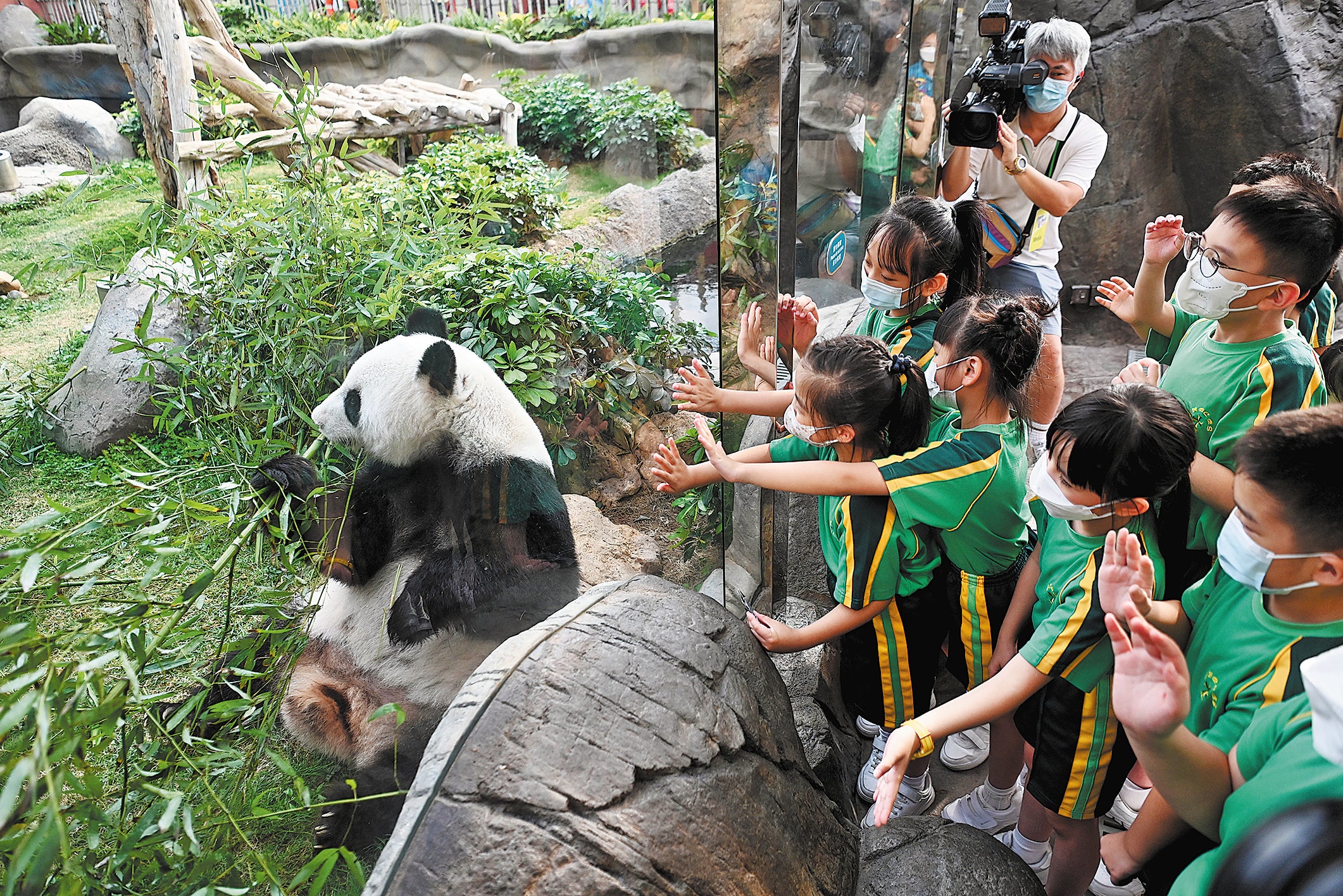 Students greet giant panda Ying Ying at Ocean Park in Hong Kong in 2022