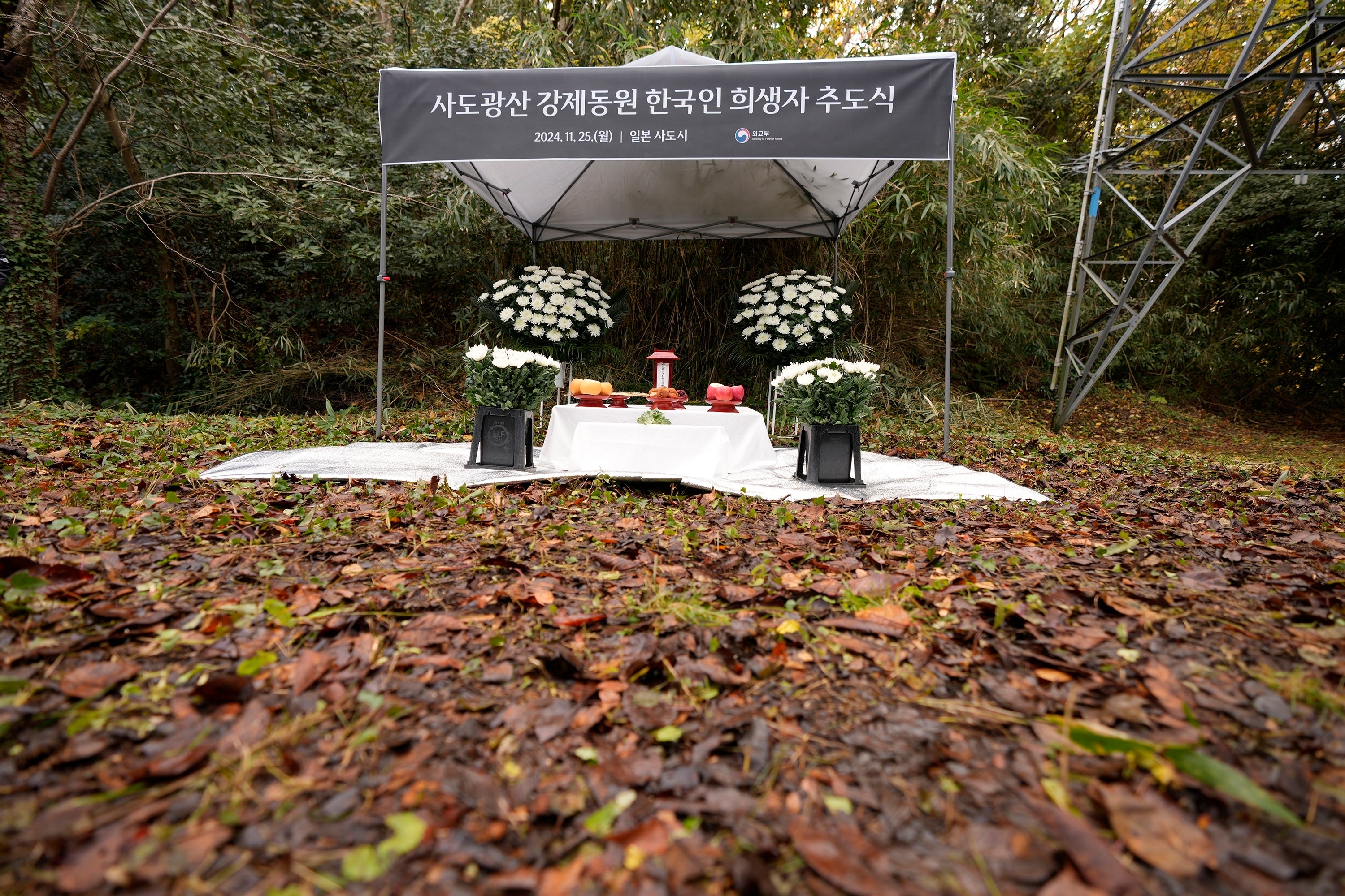 Japan South Korea Sado