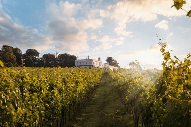 <p>Sip and swirl a wine flight at Lympstone Manor</p>