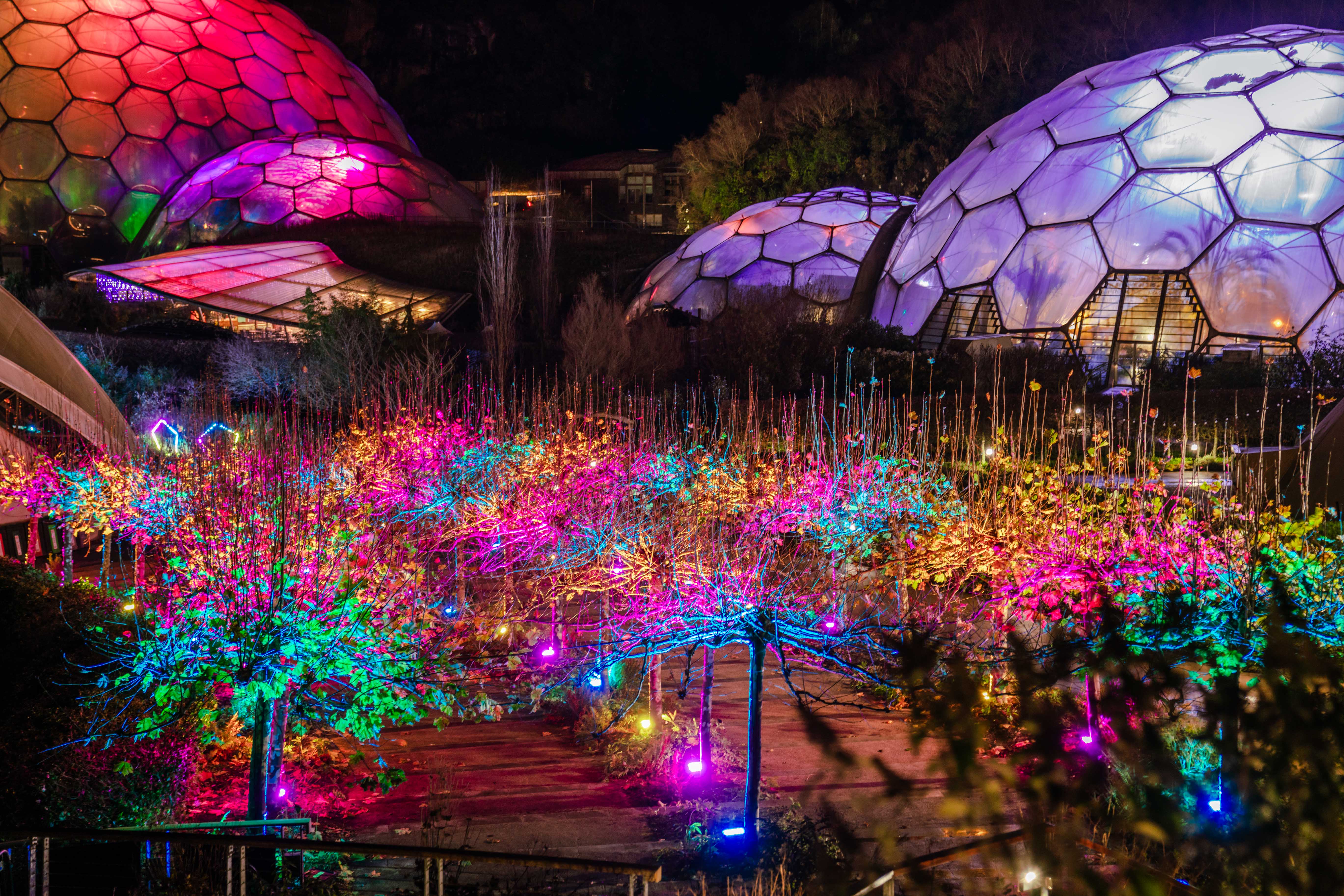 Enjoy stunning illuminations and festive surprises at the Eden Project