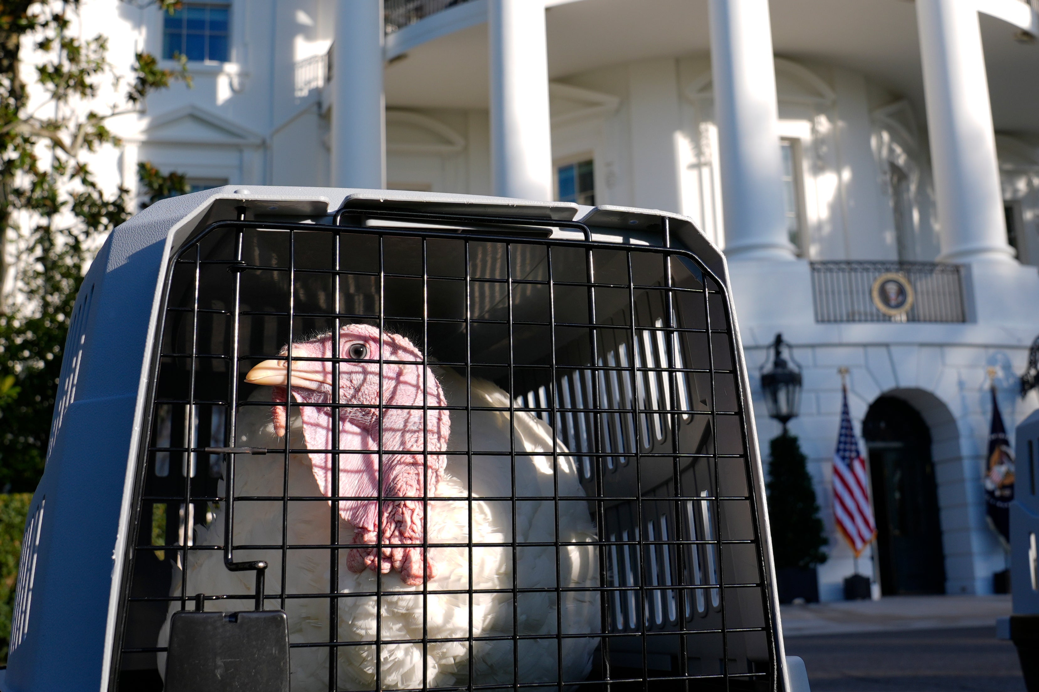 The two birds spent the evening before their big day staying in a luxurious suite at the Willard Hotel in Washington, DC