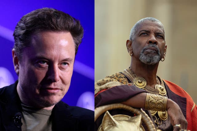 <p>Elon Musk and Denzel Washington</p>