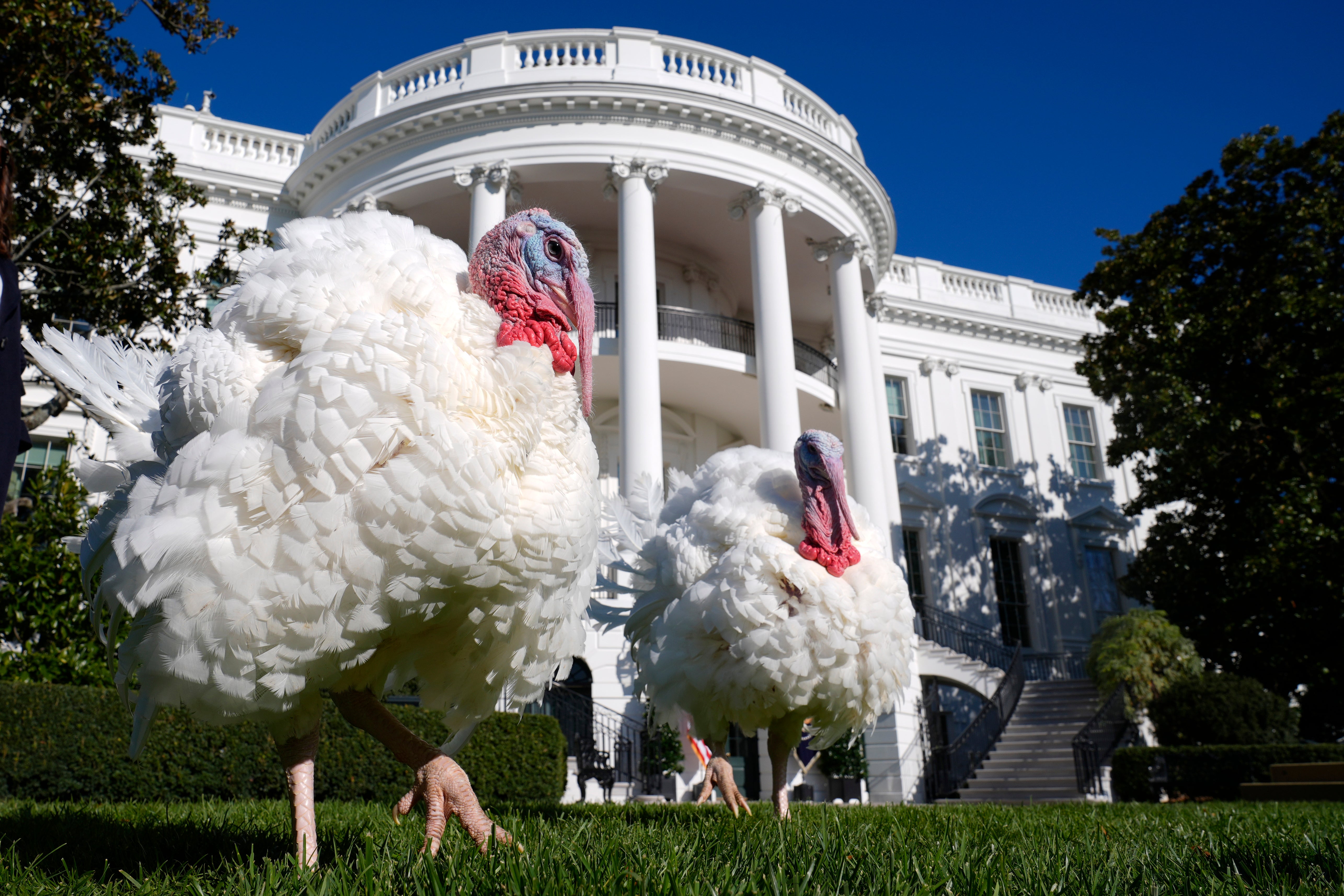 <p>Biden White House Holidays</p>
