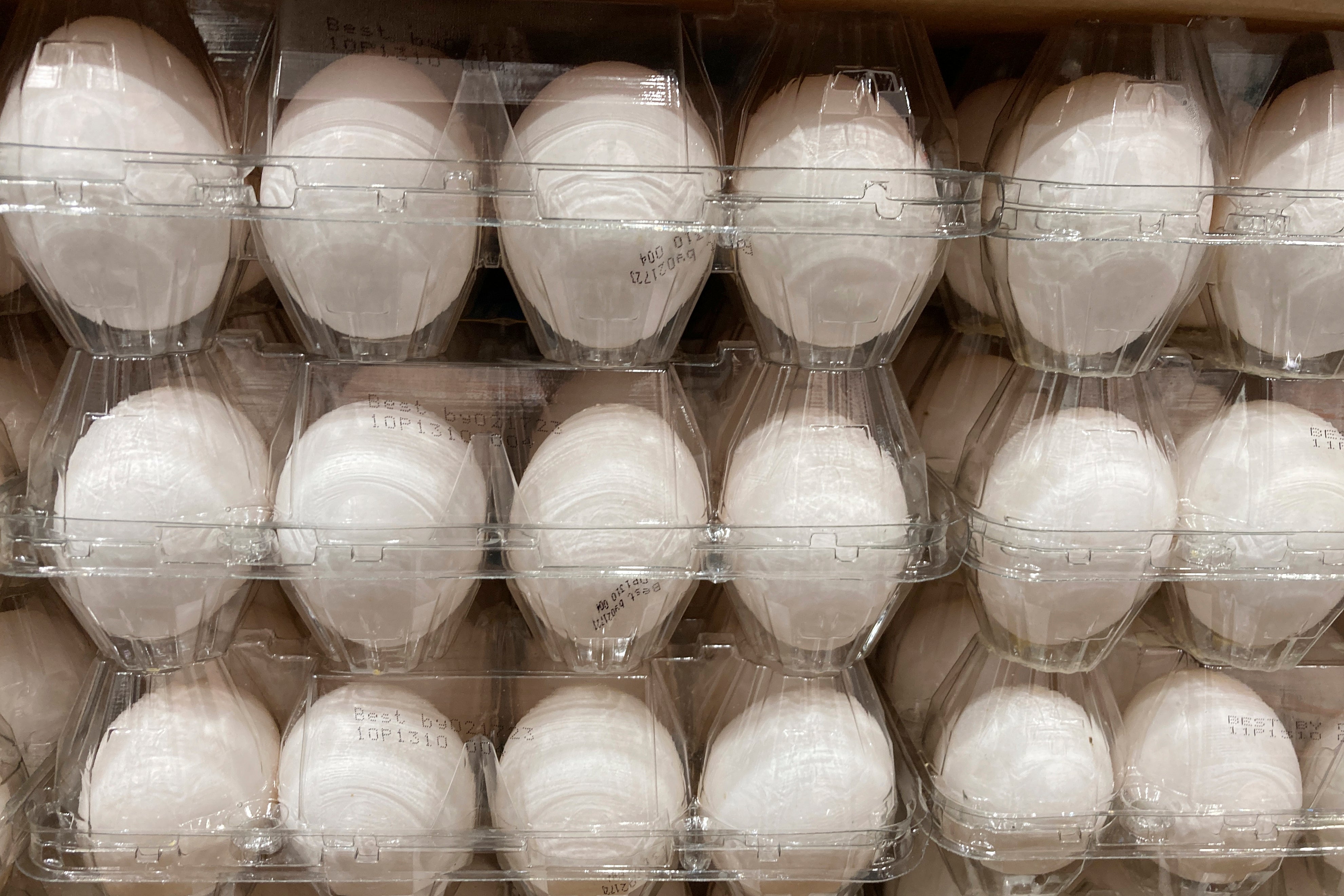 As birds have been killed due to the spread of H5N1, egg prices have increased