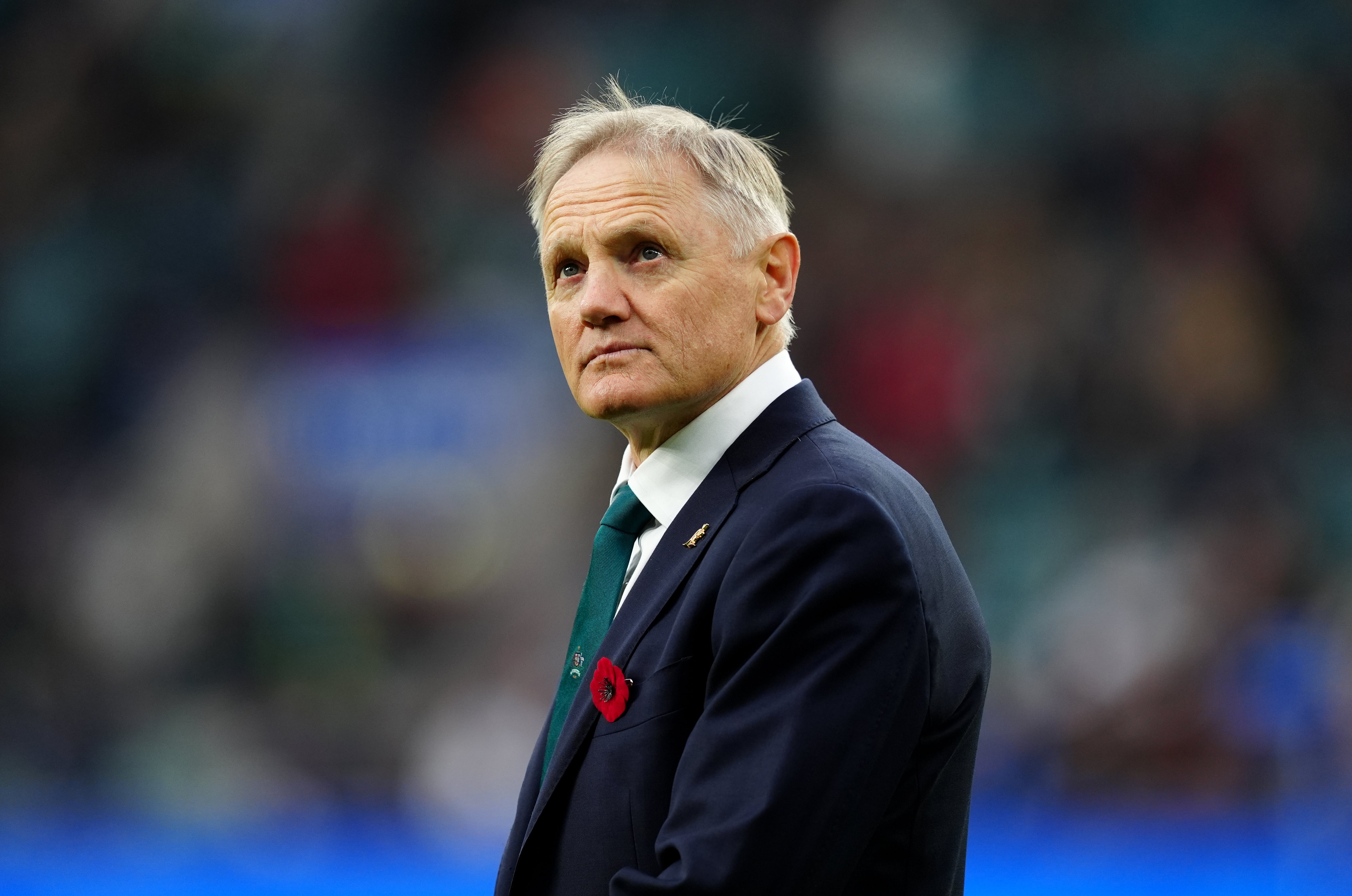 Former Ireland boss Joe Schmidt was appointed Australia head coach in January