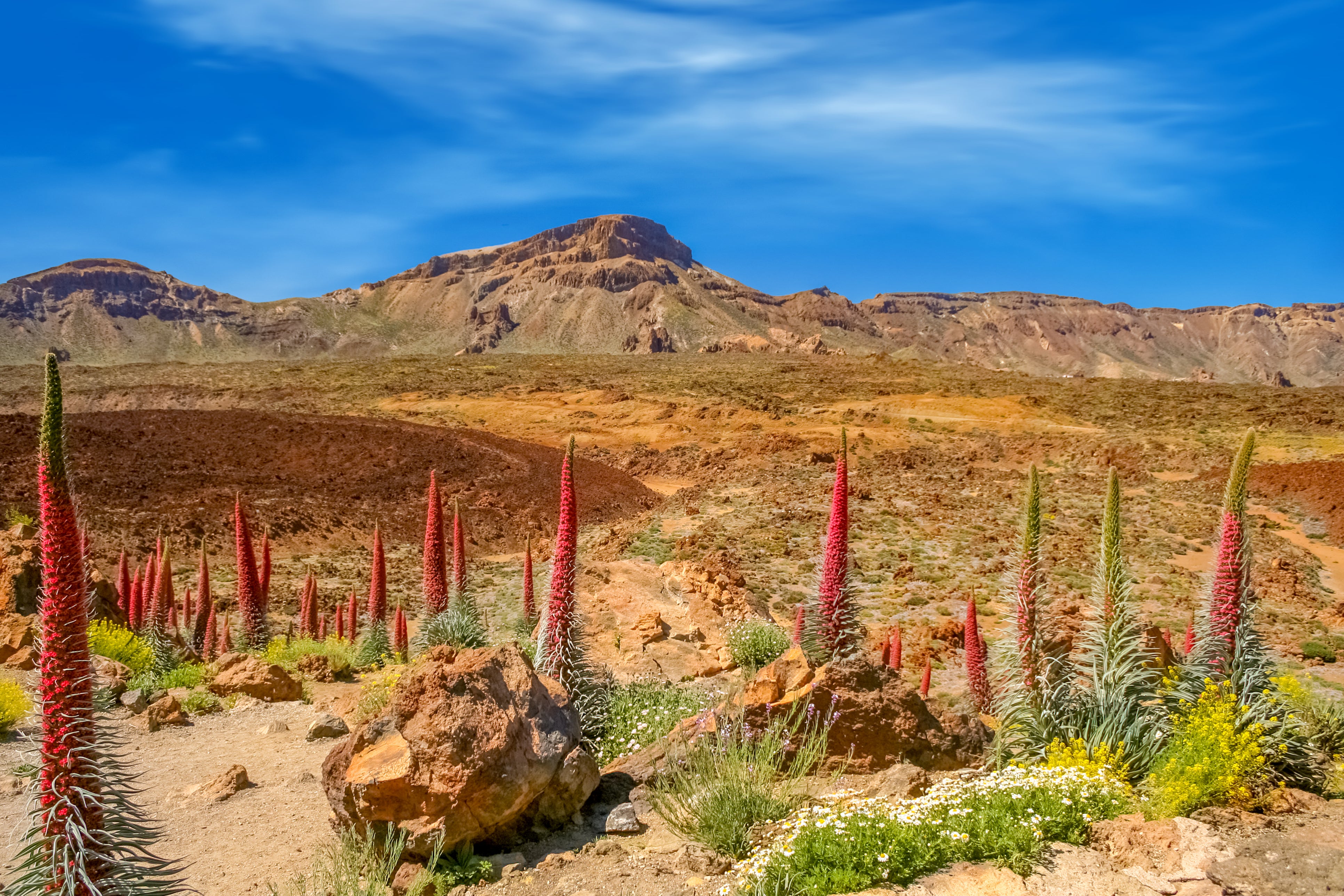 Tread Tenerife to explore Mount Teide, Spain’s tallest peak