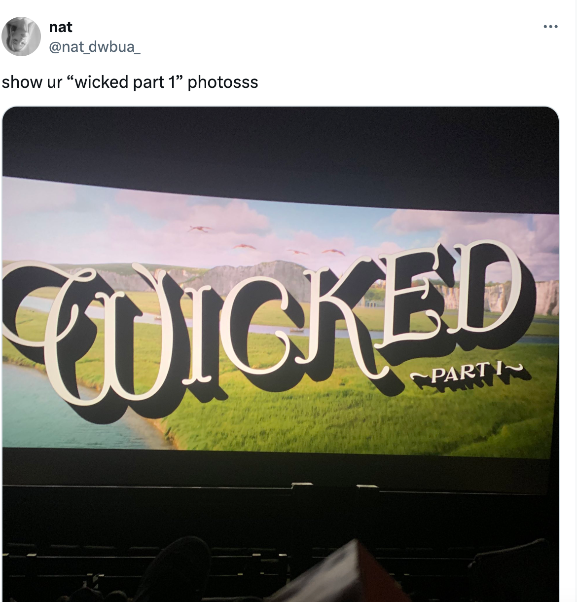 Fan encourages others to post pictures from inside the theater