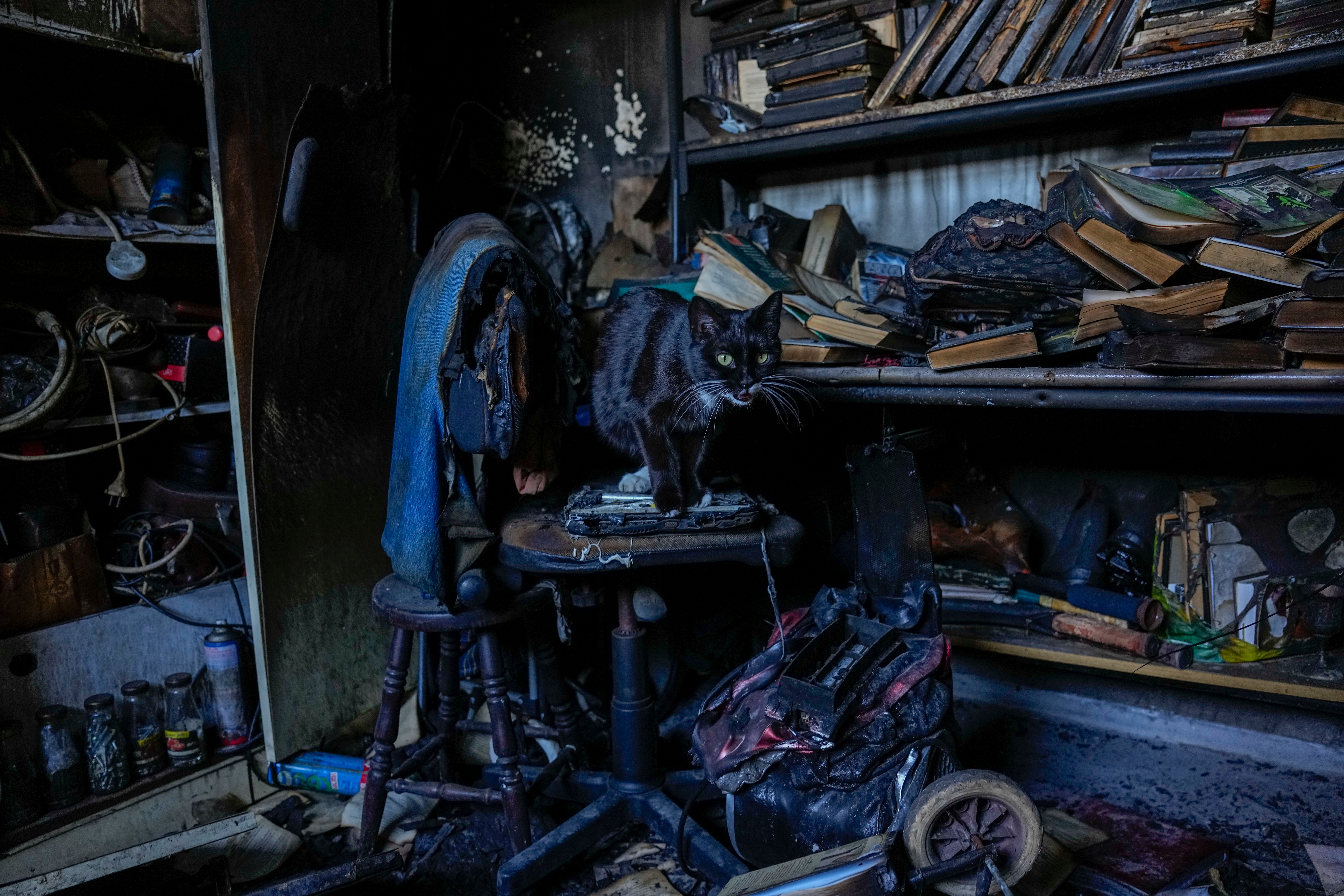 Lebanon Israel Ceasefire Photo Gallery