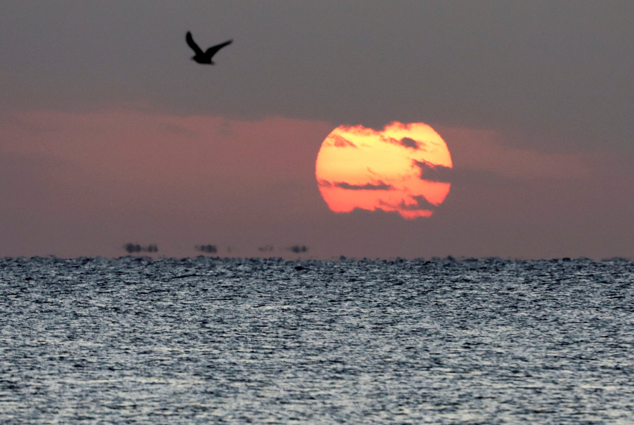 The sun rises over the sea near the beach, where survivors from the boat that capsized off Egypt's Red Sea coast yesterday were brought, in Marsa Alam