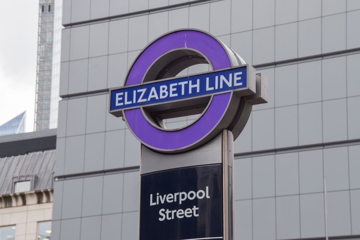 Second day of travel chaos as Elizabeth line services suspended until end of day