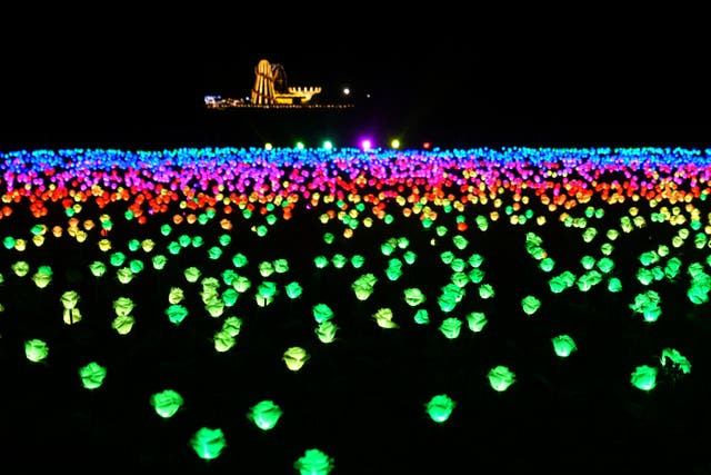 Luminate Sandringham on the King’s Norfolk estate runs nightly from November 21 until Christmas Eve (Joe Giddens/PA)