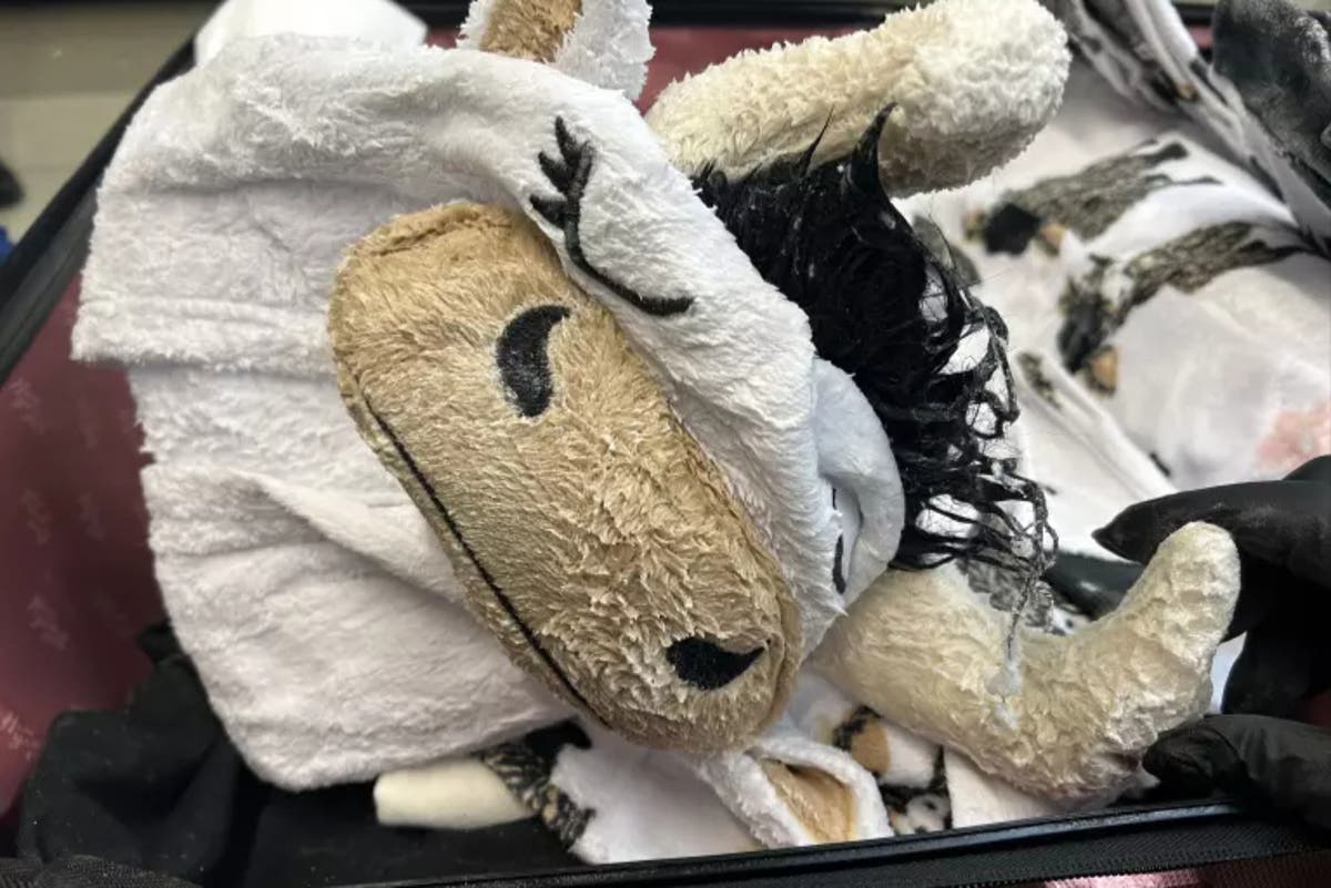 Man arrested at LAX with suitcases of meth-soaked clothes including cow onesie