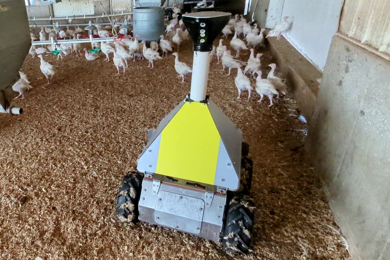 The Goose chaser robot was originally designed to deal with the growing problem of Canadian Geese but has been co-opted by Zimmerman and other members of the turkey farming industry