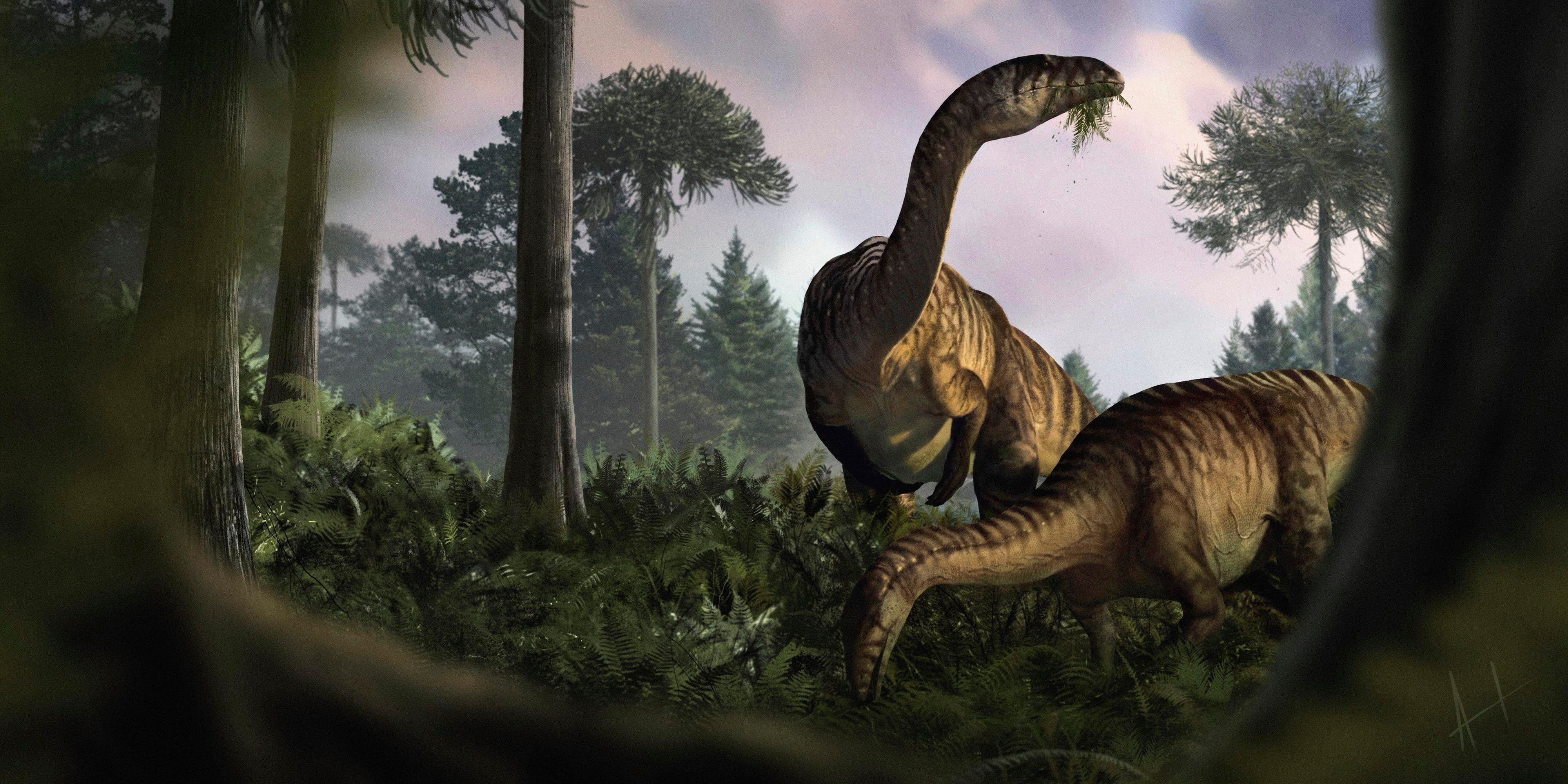 This illustration provided by Marcin Ambrozik shows plant-eating dinosaurs in Poland during the Early Jurassic period