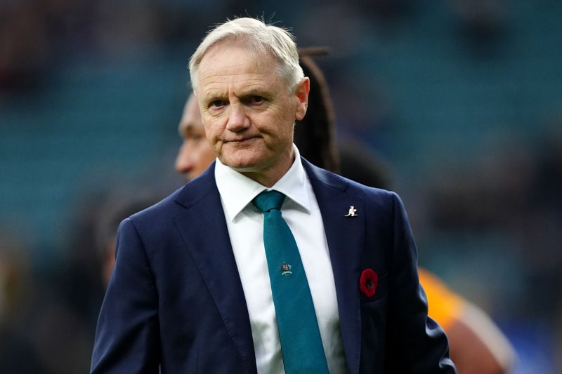 Wallabies coach Joe Schmidt makes decision on future as British and Irish Lions series looms 