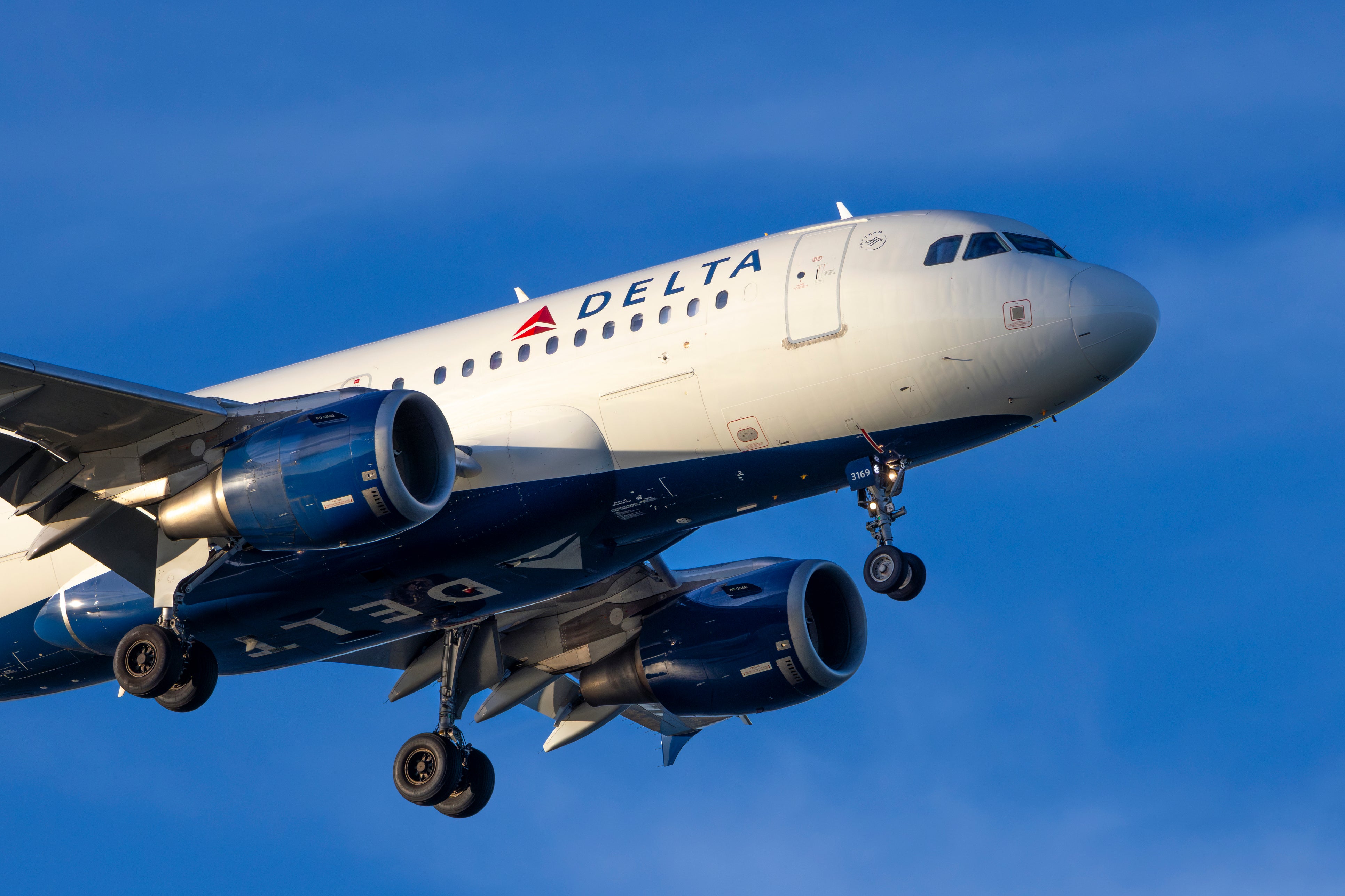 Delta flight 264 departed JFK with an extra passenger on board