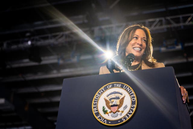 <p>Democrats worry that Vice President Kamala Harris’ fundraising emails might not be a ‘good look’ </p>