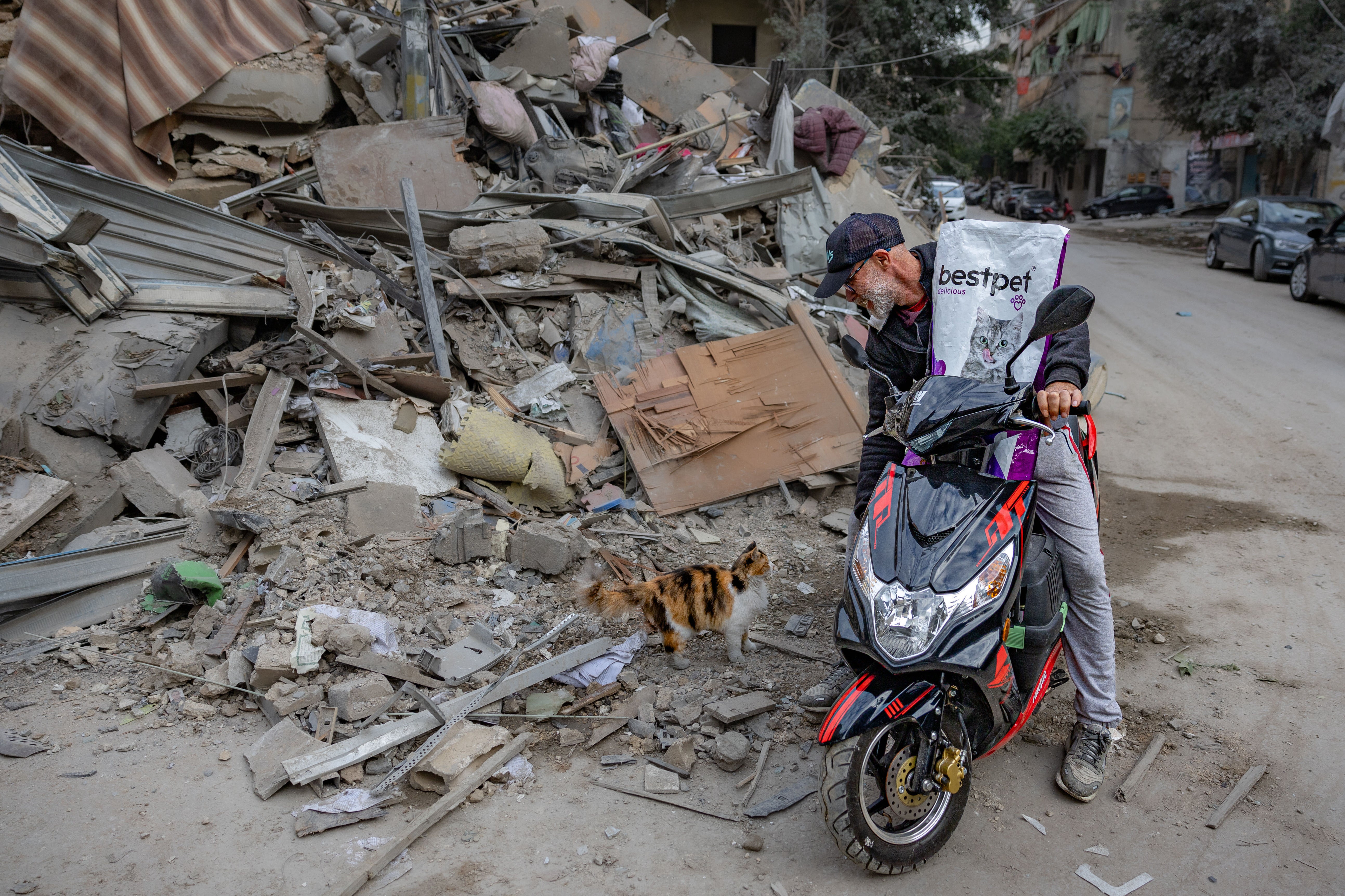 Imad Shami, 60, feeding cats around his neighbourhood