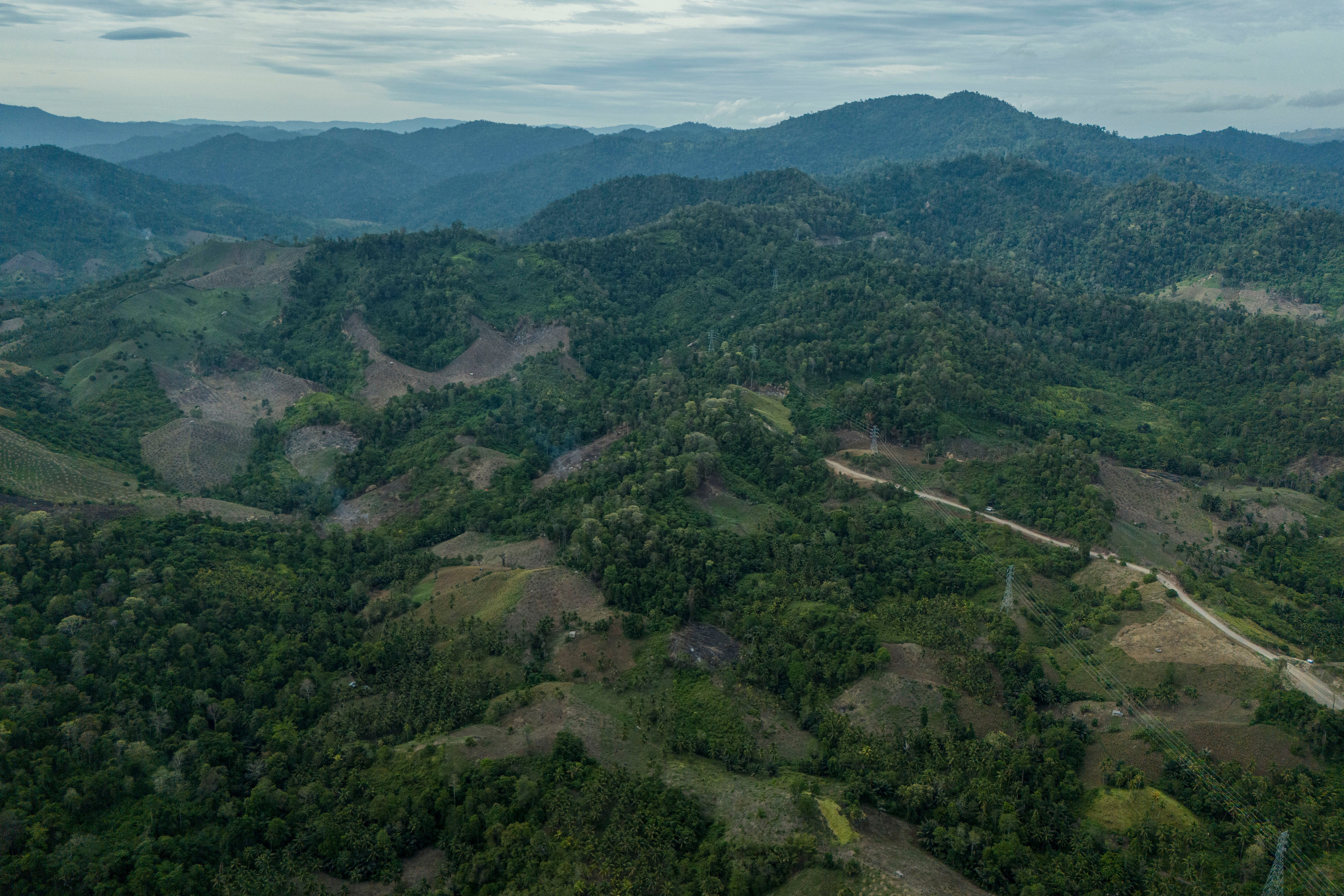 Indonesia Deforestation Biomass SKorea
