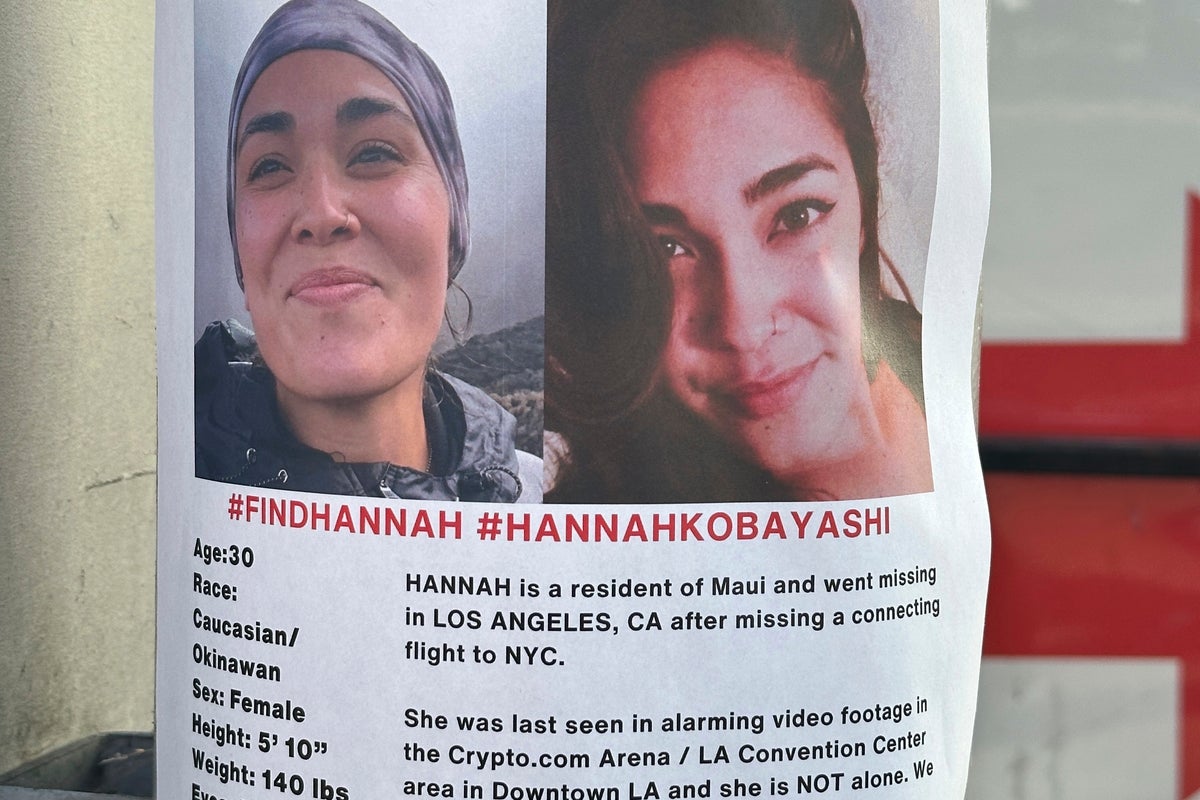 Surveillance footage captures missing Maui woman Hannah Kobayashi buying  bus ticket to Mexican border | The Independent