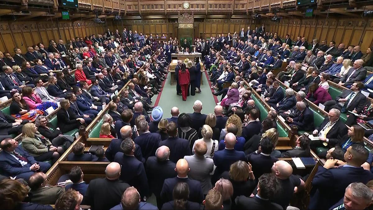 Assisted dying: More than 30 MPs who voted in favour of bill could still change their minds, analysis suggests