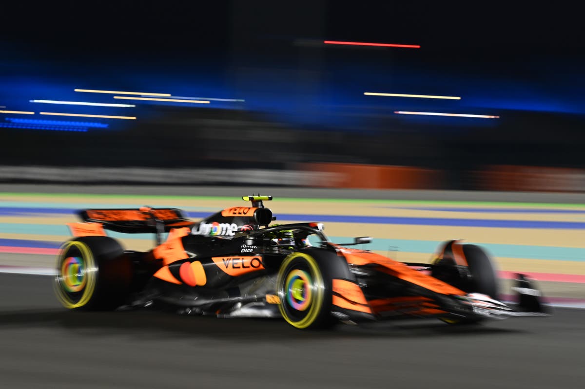 F1 2024 Qatar Grand Prix LIVE: Sprint race start time, schedule and qualifying results as Lando Norris claims pole