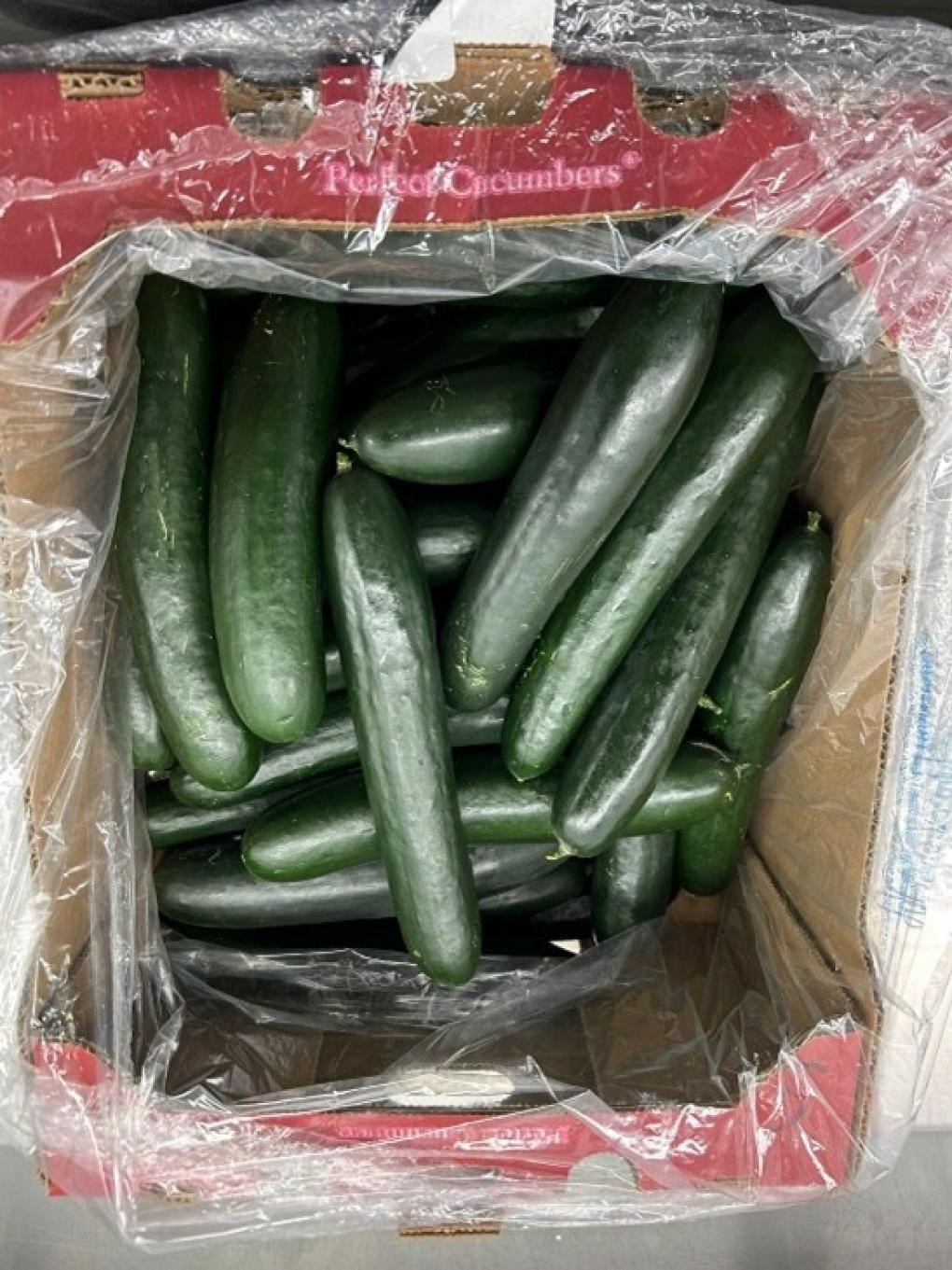 FDA issues recall of SunFed cucumbers across North America due to salmonella contamination