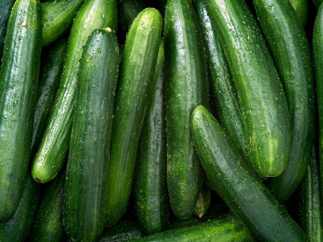 <p>FDA issues recall of SunFed cucumbers across North America due to salmonella contamination </p>