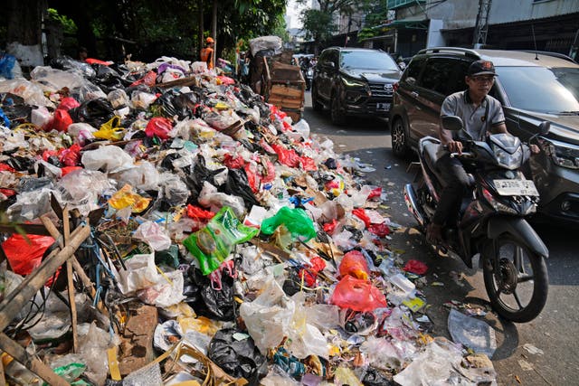 AP EXPLICA-CONTAMINACIÓN POR PLÁSTICOS