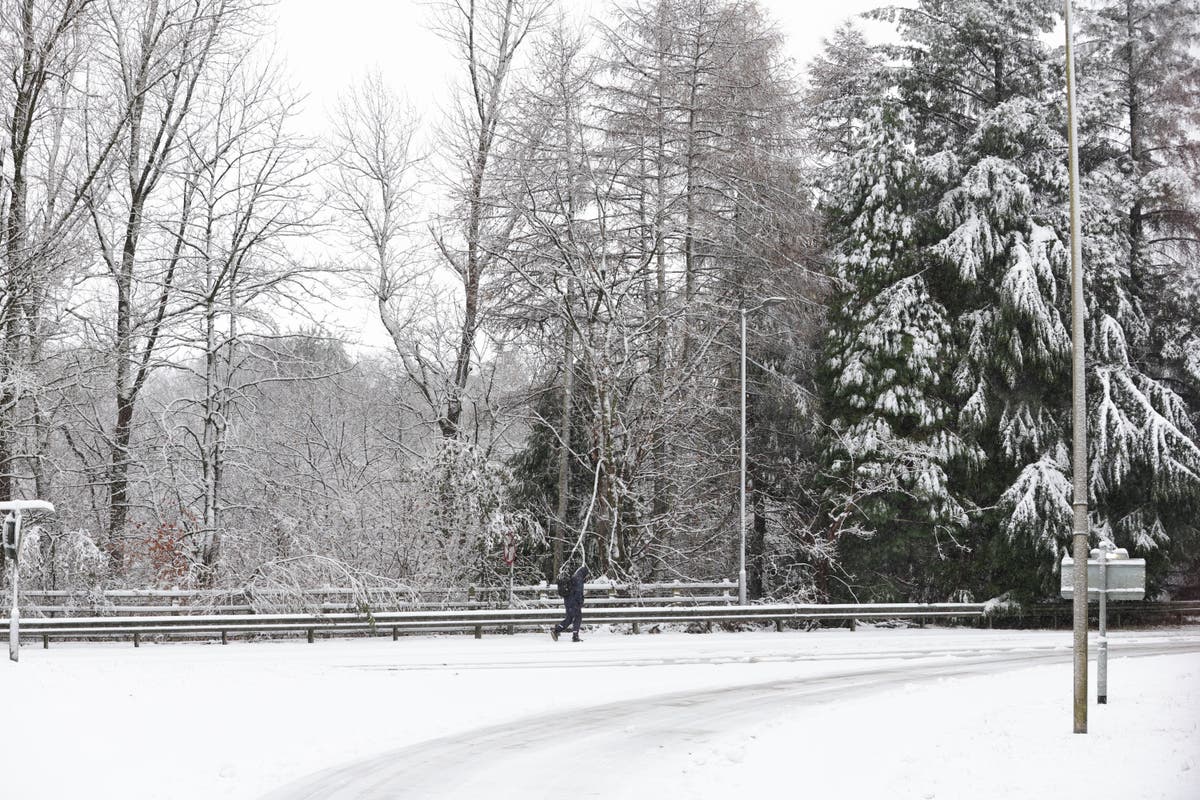 UK weather: Snow forecast as UK faces cold week, Met Office predicts frost of -7C