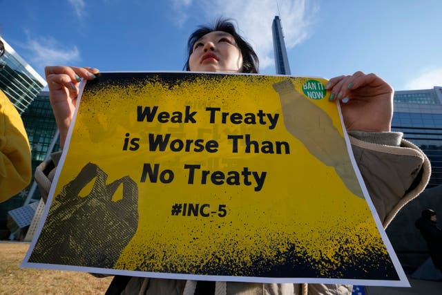 <p>A South Korean environment activist protests calling for a strong global plastics treaty outside of the venue for the fifth session of the Intergovernmental Negotiating Committee on Plastic Pollution in Busan, South Korea on Sunday</p>