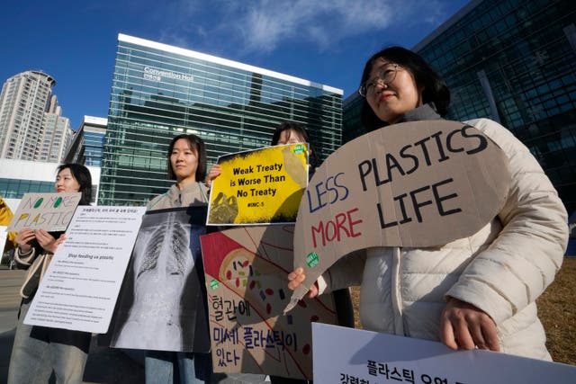 <p>South Korean environment activists protest outside of the venue for the fifth session of the Intergovernmental Negotiating Committee on Plastic Pollution in Busan, South Korea</p>